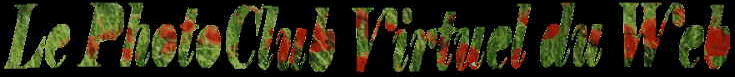 Banner = Le PhotoClub du Web - 170 Ko