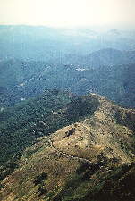 Vue du mont Aigoual