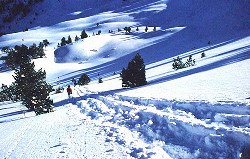 Descente