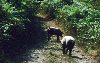 Rencontre inattendue